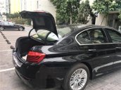 Bán BMW 5 Series 520i đời 2014, màu đen, nhập khẩu nguyên chiếc