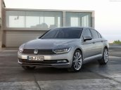 Bán xe Volkswagen Passat Bluemotion, (màu xanh đen, đen, nâu, bạc, trắng), nhập khẩu mới 100% - LH: 0933.365.188