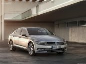 Bán xe Volkswagen Passat Bluemotion, (màu xanh đen, đen, nâu, bạc, trắng), nhập khẩu mới 100% - LH: 0933.365.188