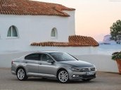 Bán xe Volkswagen Passat Bluemotion, (màu xanh đen, đen, nâu, bạc, trắng), nhập khẩu mới 100% - LH: 0933.365.188