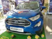 Bán Ford EcoSport 1.0L AT Titanium sản xuất 2018, màu xanh giá tốt