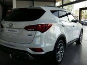 Cần bán xe Hyundai Santa Fe đời 2018