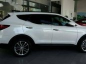 Cần bán xe Hyundai Santa Fe đời 2018