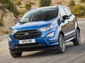 Xe Ford EcoSport 1.5L Trend 2018 giá tốt nhất hiện nay liên hệ ngay với chúng tôi 093.309.1713 Hoài Ford