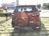 Bán Ford EcoSport Titanium 1.5L AT sản xuất 2018, màu nâu