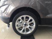 Ford Ecosport phiên bản Titanium 1.5L 2018, màu nâu phổ phách, hỗ trợ trả góp 90%, giao xe ngay