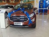 Bán xe Ford EcoSport sản xuất 2018 