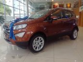 Bán xe Ford EcoSport sản xuất 2018 