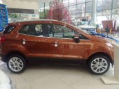 Bán xe Ford EcoSport sản xuất 2018 