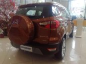 Bán xe Ford EcoSport sản xuất 2018 