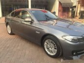 Bán xe BMW 5 Series 520i năm 2015, màu xám