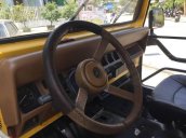 Bán Jeep Wrangler MT năm 1989, màu vàng