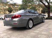 Bán xe BMW 5 Series 520i sản xuất 2015, màu xám, xe nhập