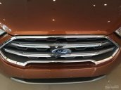 Giao luôn Ford Ecosport 1.0 Ecboost 2018, đủ màu, Trắng- Đen- Bạc- Đỏ- Nâu Hổ Phách. Liên hệ nhận giá tốt nhất