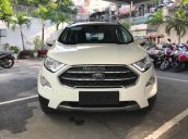 Bán Ford Ecosport 2018, dòng SUV bán chạy nhất tại Việt Nam, liên hệ ngay Xuân Liên 0963 241 349