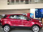 Bán Ford Ecosport 2018, hỗ trợ trả góp, giao ngay