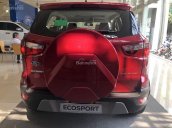 Bán Ford Ecosport 2018, hỗ trợ trả góp, giao ngay