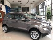 Ford Thủ Đô, bán các dòng xe Ford Ecosport 2019, giá chỉ từ 545tr, trả góp 90%, giao xe toàn quốc - LH: 0975434628