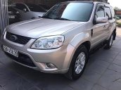 Bán Ford Escape năm sản xuất 2011, màu bạc