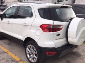 Bán Ford Ecosport mới 100% ưu đãi khủng, hỗ trợ trả góp 85% chỉ cần hơn 100 triệu có xe, LH: 033.613.5555