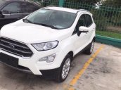 Bán Ford Ecosport mới 100% ưu đãi khủng, hỗ trợ trả góp 85% chỉ cần hơn 100 triệu có xe, LH: 033.613.5555