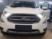 Bán Ford Ecosport mới 100% ưu đãi khủng, hỗ trợ trả góp 85% chỉ cần hơn 100 triệu có xe, LH: 033.613.5555