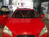 Cần bán gấp Hyundai Genesis đời 2010, màu đỏ, nhập khẩu chính chủ