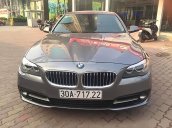 Cần bán gấp BMW 5 Series 520i đời 2015, màu xám, xe nhập