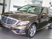 Bán xe Mercedes-Benz C250 Exclusive màu nâu, giao ngay, trả trước 450tr rinh xe về nhà - Mercedes Võ Văn Kiệt