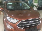 City Ford Bình Triệu bán Ford Ecoboost 1.0L, đời 2018, 689 triệu