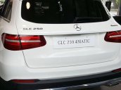 Bán xe Mercedes GLC250 4Matic 2018 mới 100%, giao ngay, liên hệ ngay để nhận ưu đãi cực kỳ tốt