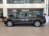 Bán xe Volkswagen Passat GP nhập khẩu, màu nâu - 0967335988