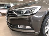 Bán xe Volkswagen Passat GP nhập khẩu, màu nâu - 0967335988