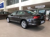 Bán xe Volkswagen Passat GP nhập khẩu, màu nâu - 0967335988