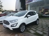 Ford Ecosport Trend Dragon 1.5L 2018 quà hấp dẫn