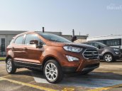 Bán Ford EcoSport 1.0 Ecoboost năm 2018, màu đỏ đồng, mới 100%. L/H 090.778.2222