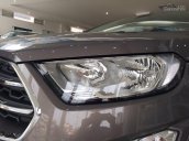 Bán xe Ford EcoSport 1.0 Ecoboost 2018, mới 100%, màu nâu hổ phách. L/H 090.778.2222