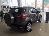 Bán xe Ford EcoSport 1.0 Ecoboost 2018, mới 100%, màu nâu hổ phách. L/H 090.778.2222