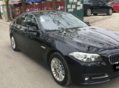 Bán BMW 5 Series 520i sản xuất 2013, màu đen