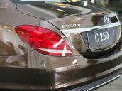 Bán xe Mercedes-Benz C250 Exclusive màu nâu, giao ngay, trả trước 450tr rinh xe về nhà - Mercedes Võ Văn Kiệt