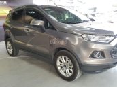 Bán Ford Ecosport Titanium 1.5AT màu xám hồng, số tự động sản xuất 2015, biển Sài Gòn