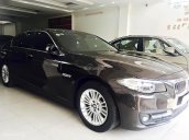 Bán BMW 5 Series 520i sản xuất 2015, màu nâu, nhập khẩu nguyên chiếc đẹp như mới