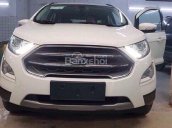 Báo giá xe Ford Ecosport 2018 mới nhất