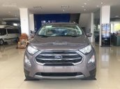 EcoSport mới 100%, khuyến mãi lớn, tặng thêm phụ kiện, call: 033.613.5555