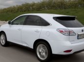 Bán ô tô Lexus RX 3.5 AT năm sản xuất 2010, màu trắng, nhập khẩu