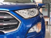 Bán Ford Ecosport 2018 giá chỉ 545 triệu, khuyến mãi lớn, hỗ trợ trả góp lên đến 85%, xe đầy đủ màu giao liền tay