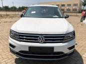 Bán Volkswagen Tiguan 2.0 tubo tăng áp 2018, màu trắng, nhập khẩu