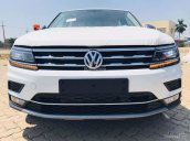 Bán Volkswagen Tiguan 2.0 tubo tăng áp 2018, màu trắng, nhập khẩu