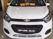 Bán Chevrolet Spark Van 2 chỗ chở hàng - Gía cực rẻ -  Lh 0912844768 báo giá lăn bánh và thủ tục trả góp