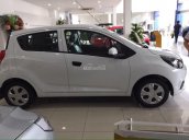 Bán Chevrolet Spark Van 2 chỗ chở hàng - Gía cực rẻ -  Lh 0912844768 báo giá lăn bánh và thủ tục trả góp